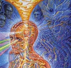 Alex Grey Art Portrait Eyes Beaming Orange Blue.jpg